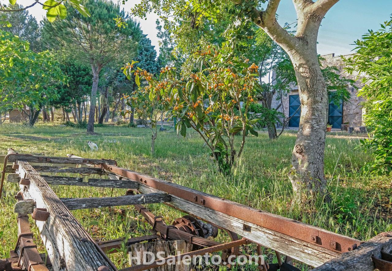 Masseria Macurano Bed and Breakfast Alessano Esterno foto